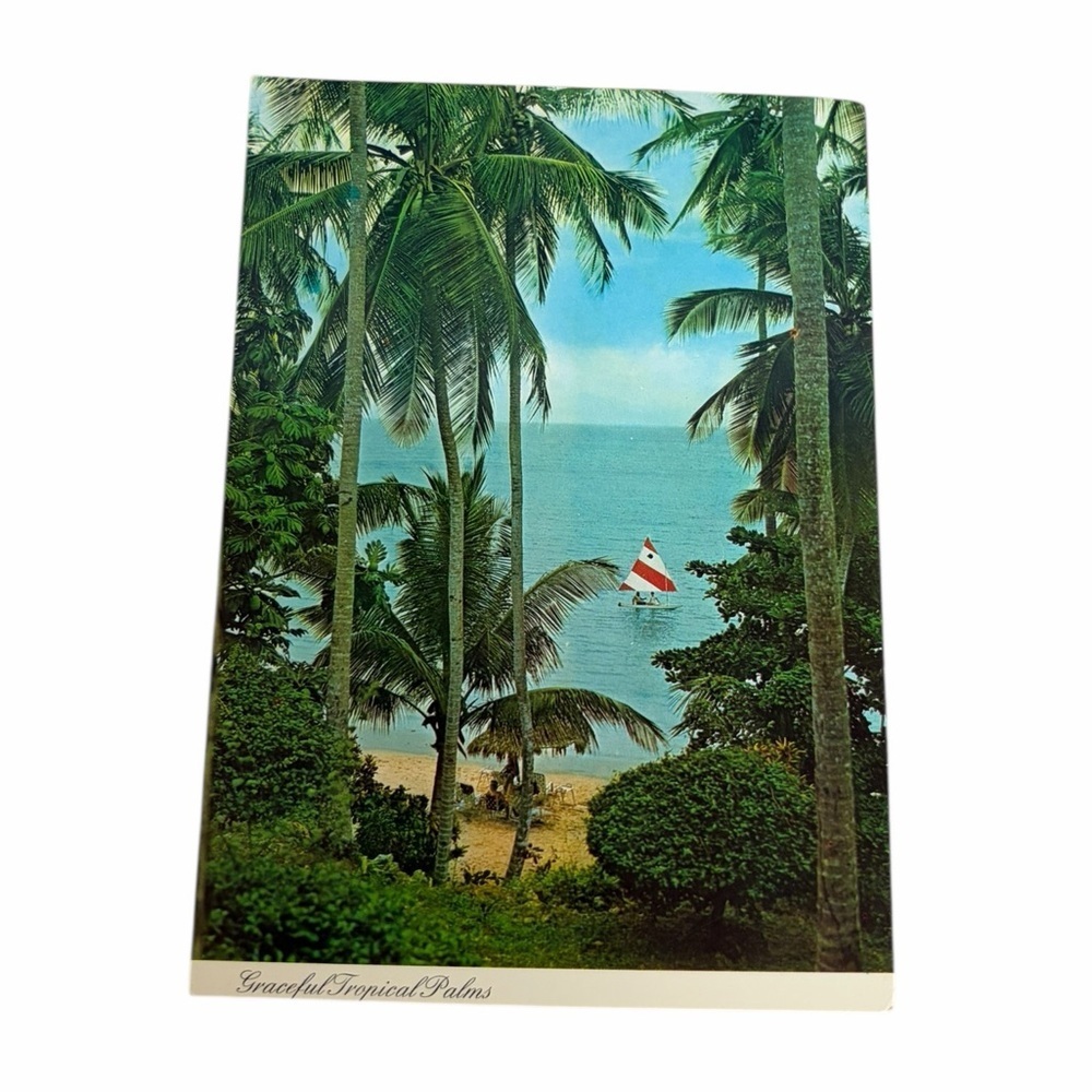 Vintage Tropical Palms Postcard Beach Sailboat Unposted 1960s Retro Decor